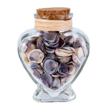 Med Heart Bottle w/Shells - The Hawaii Store
