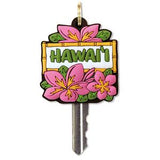 Key Cover, Pink Plumeria (Hawaii) - The Hawaii Store
