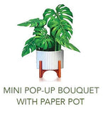 FreshCut Paper Mini Monstera Pop-Up Bouquet