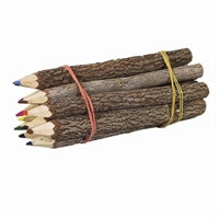 Pencil Branch Colored 7'' - The Hawaii Store