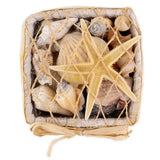 Beachcombers-Coastal-Life-Square-Shell-Basket--White..