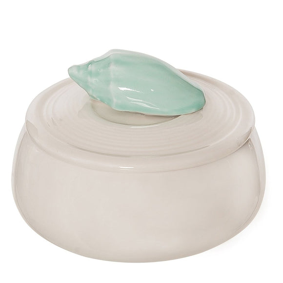 Beachcombers Green & Bisque Shell Box