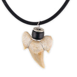 Shark Tooth with Black Ceramic Bead Necklace