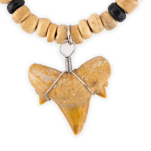 North African Sand Shark & Coco Bead Necklace