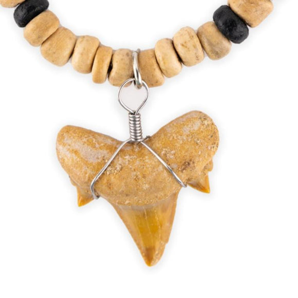 North African Sand Shark & Coco Bead Necklace