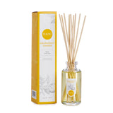 Grapefruit Ginger Reed Diffuser - 3oz - The Hawaii Store