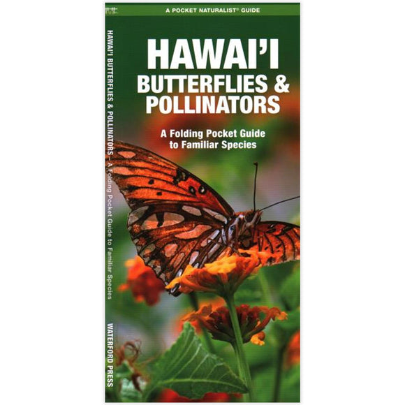 Hawai'i Butterflies and Pollinators A Folding Pocket Guide to Familiar Species - The Hawaii Store