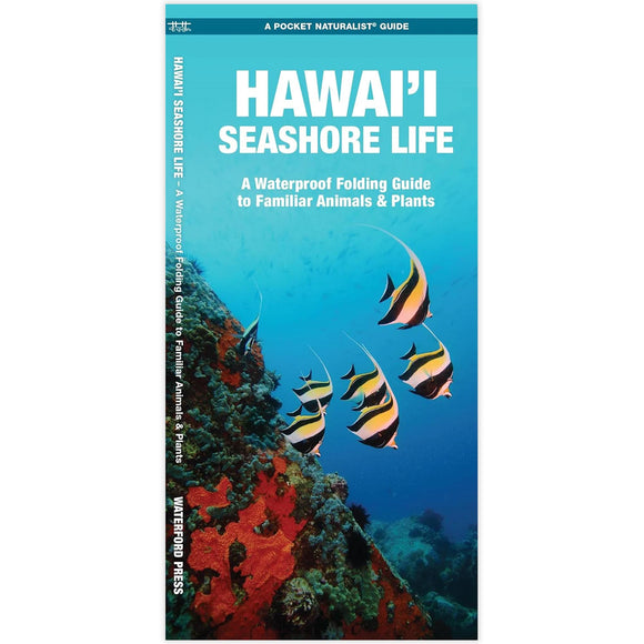 Hawai'i Seashore Life: A Folding Pocket Guide to Familiar Animals & Plants - The Hawaii Store