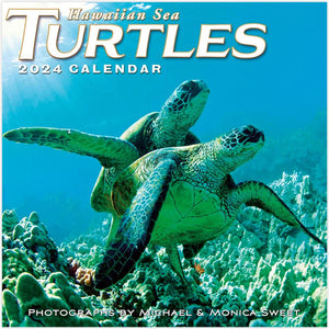 2024 Sea Turtles Wall Calendar  