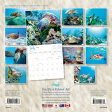 2024 Sea Turtles Wall Calendar 