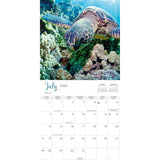 2024 Sea Turtles Wall Calendar  Page