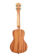 Voyage Ukulele Guidance Concert w/Bag