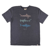 Pacific Creations "Shark Stack" Mens Tee-Shirt- Blue/Gray Marle