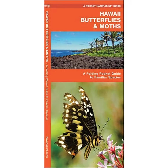 Pocket Naturalist Guides: Hawaii Butterflies & Moths - The Hawaii Store