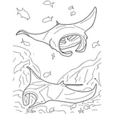 Sample outlines to color in Sharks & Rays Educational Coloring Book