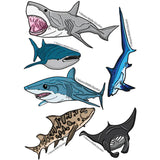 Images of the sharks Sharks & Rays in Educational Sharks & Rays Coloring Book