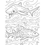 Sharks & Rays Educational Coloring Book - The Hawaii Store