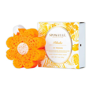 Spongellé Hawaiian "Pikake" Botanical Body Wash Sponge - The Hawaii Stpre