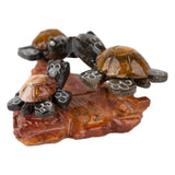 Backside of turtle figures