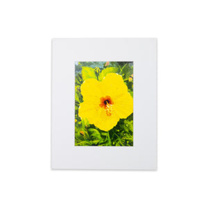 "Yellow Hibiscus" Matted Print by Antoinette Powell- 8" x 10" - The Hawaii Store