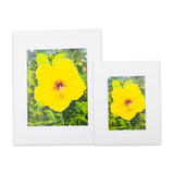 "Yellow Hibiscus" Matted Print by Antoinette Powell - 11" x 14"