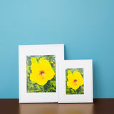 "Yellow Hibiscus" Print by Antoinette Powell in 2 Sizes