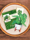 FreshCut Paper Mini Monstera Pop-Up Bouquet with Mahogany Stand and Gift Card