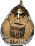 Carved Hawaiian Coconut Wood Tiki Monkey with Glasses Piggy Bank  in Plastic Packaging