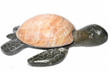 Fig Turtle Marble Small 3.5 - The Hawaii Store