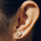 Wild Cloud Shell Stud Earrings