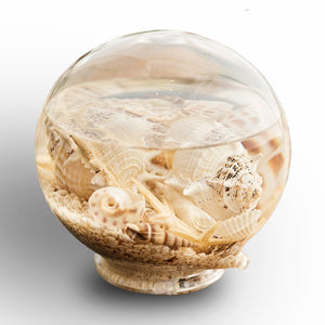 Sea Life Glass Water Globe with Sea Shells and Sand- Medium Size