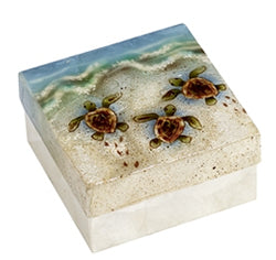 box with baby sea turtles at the beach. Made from oyster shells
