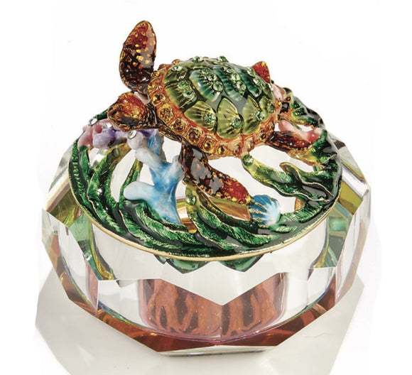 glass box with turtle on top with intricate design