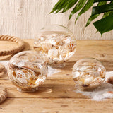 Sea Life Glass Water Globe with Sea Shells and Sand- Medium Size