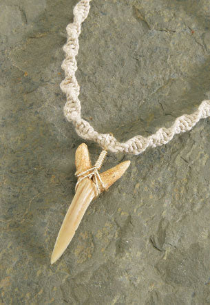 Twisted Hemp Fossil Shark Tooth Necklace - Polynesian Cultural Center