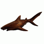 Figurine Wooden Shark - Polynesian Cultural Center