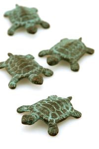 Mini brass turtles