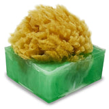 Soap Sponge Bar Honeyscrip Apple - The Hawaii Store