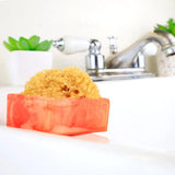 Island Oasis Glycerin Sponge Bar Soap - The Hawaii Store