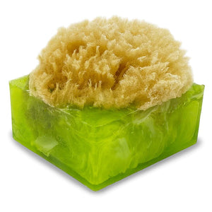 Sea Salt and Citrus Glycerin Soap Sponge Bar - The Hawaii Store