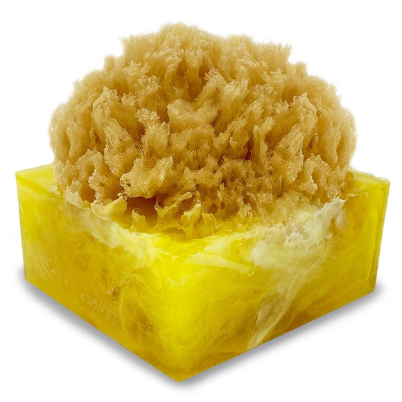 Tahitian Vanilla Glycerin Soap Sponge Bar - The Hawaii Store