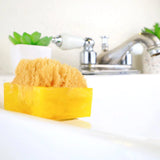 Tahitian Vanilla Glycerin Soap Sponge Bar - The Hawaii Store