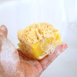 Tahitian Vanilla Glycerin Soap Sponge Bar - The Hawaii Store