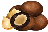 Tetra Dark Chocolate Macnut .5oz - The Hawaii Store