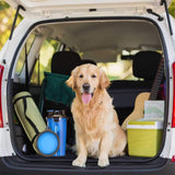 Doggie Duo Dog Food & Water Travel Storage Kit- Blue