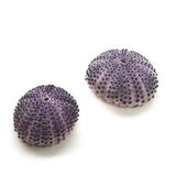 Real Sea Urchin Shell- Purple