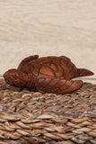 alternate photo of sea turtle